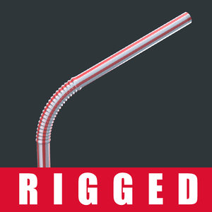 3d model of rigged straw