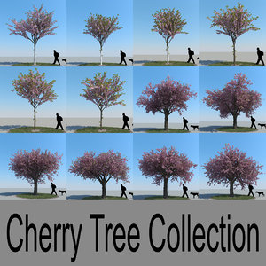 max realistic cherry trees