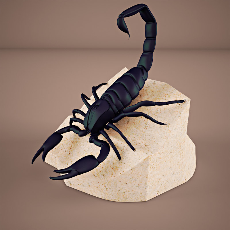 3ds Max Scorpion 7829