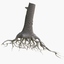 tree roots 3d model