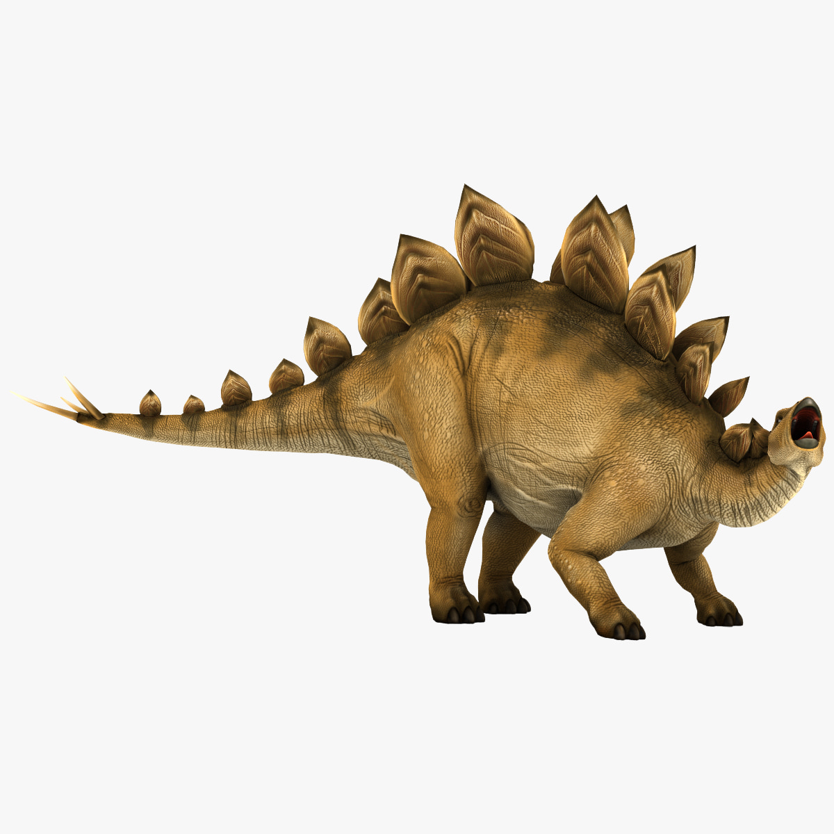 about stegosaurus dinosaur