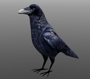 3d model crow formats