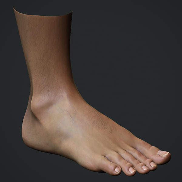 3d Model Realistic Male Foot 2757