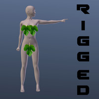 free obj mode female basemesh teen base mesh