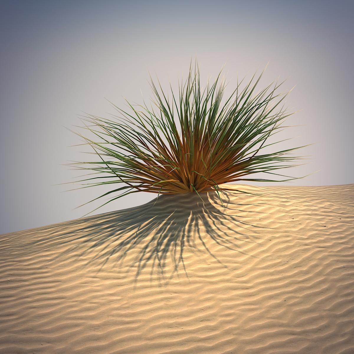 3d-desert-grass-set