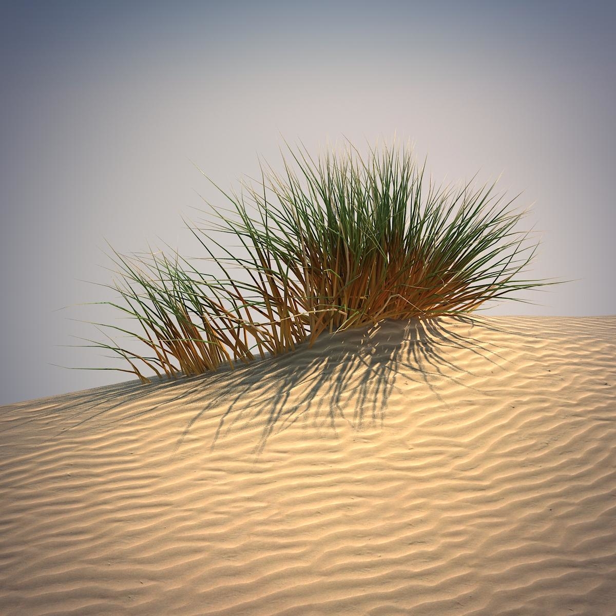 3d Desert Grass Set