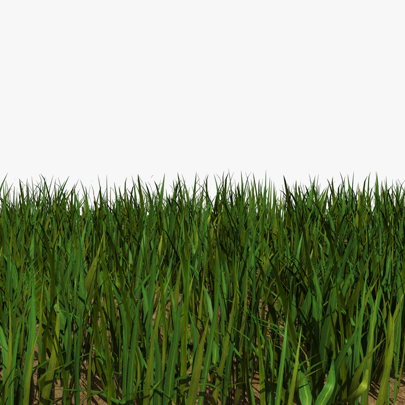 grass 3d model