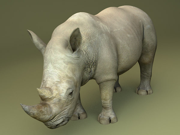 can you download rhinoceros 3d