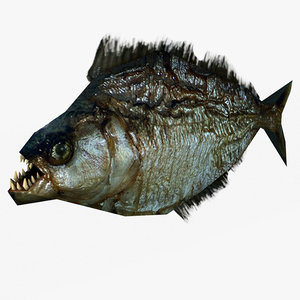piranha 3d model