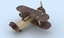 3d toy wood plane model