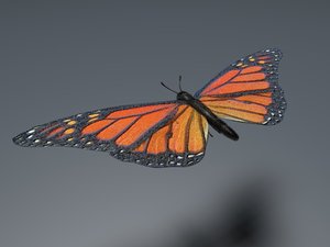 orange butterfly 3d obj