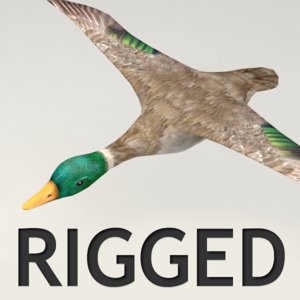 rigged flying duck 3d 3ds