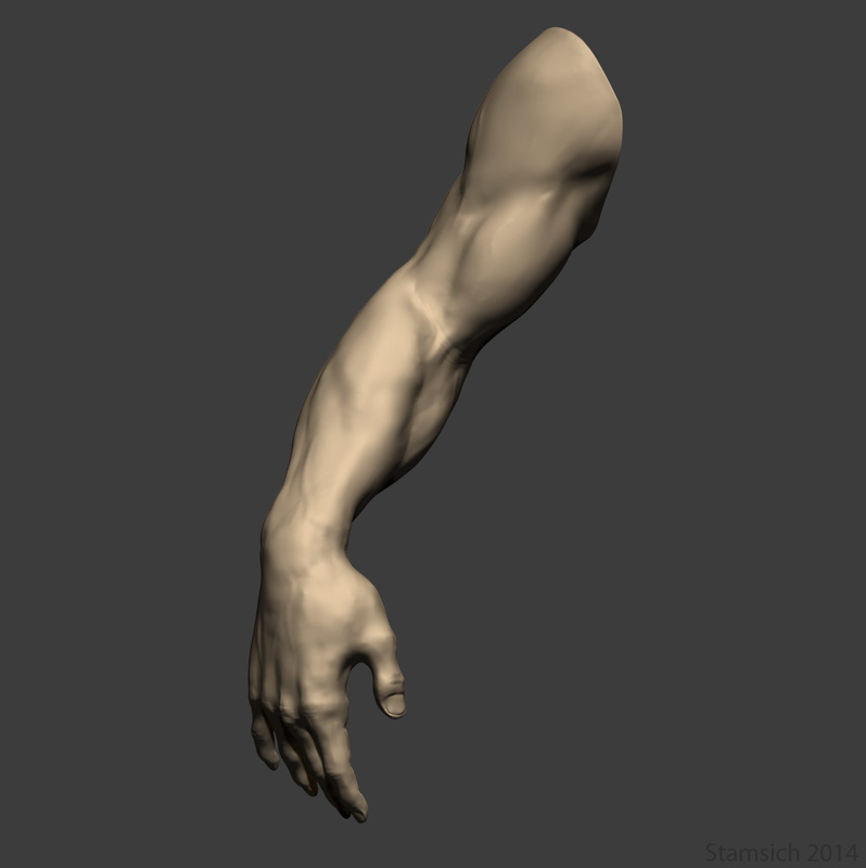3d arm sculpt model