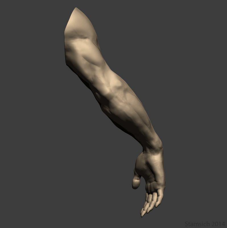 3d Arm Sculpt Model