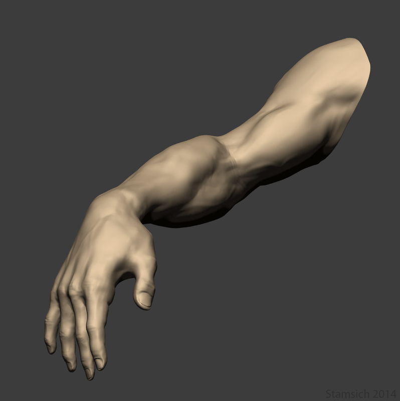 3d arm sculpt model