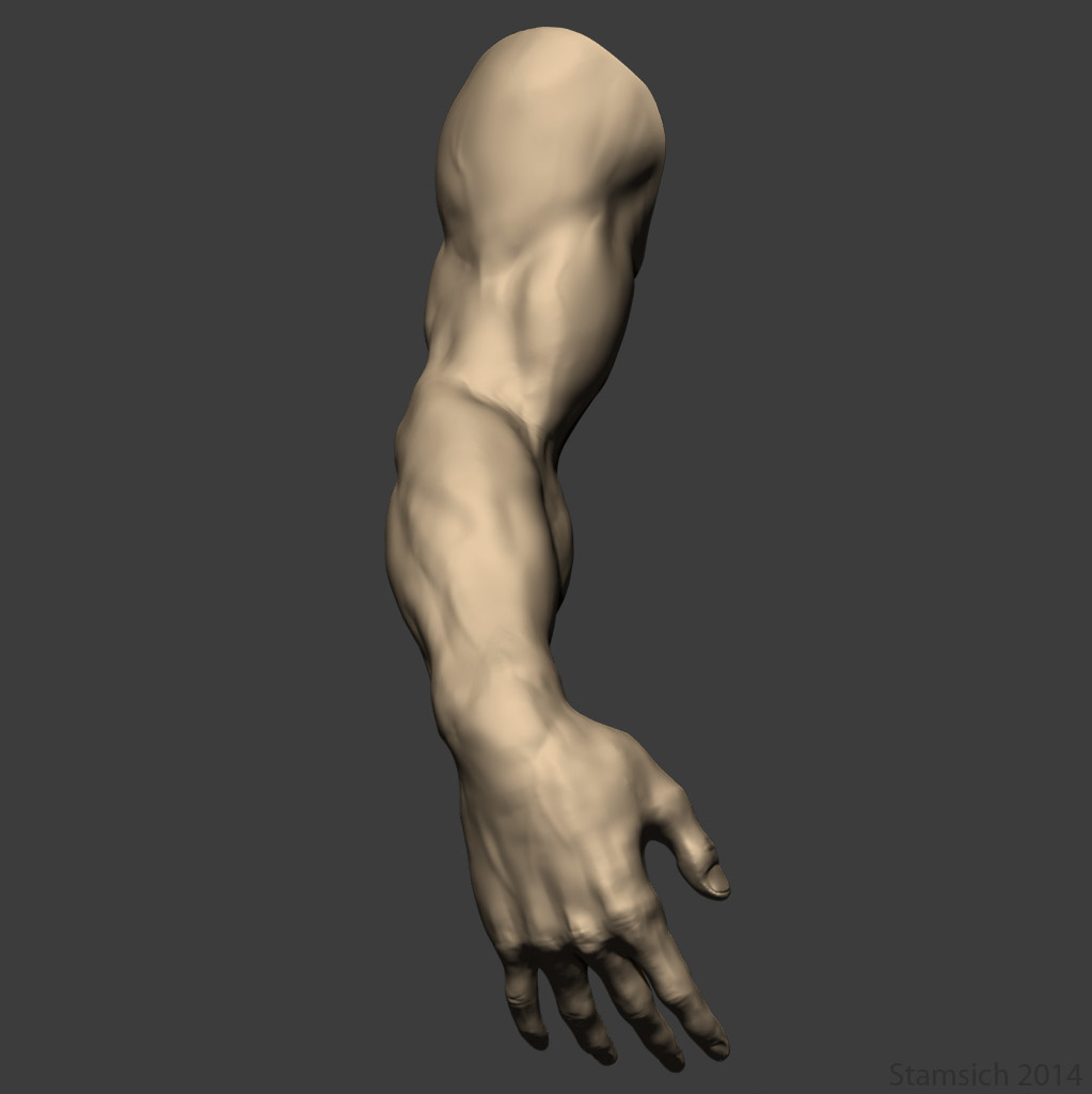 3d arm sculpt model