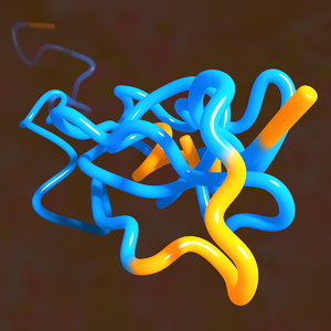 protein chain folded unfolded 3d model