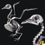 pigeon anatomy skeleton 3d lwo