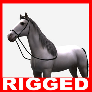 3d realistic horse rigged model