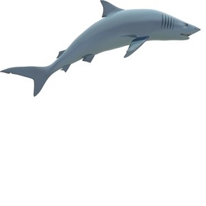 shark blue max