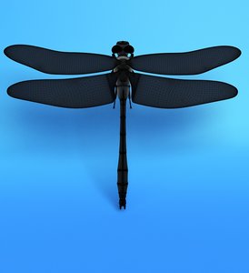 3ds max dragonfly