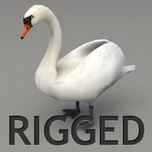3ds max rigged swan