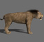 3d cats animation lion model