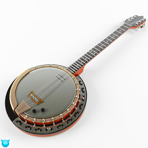 3d banjo instrument string