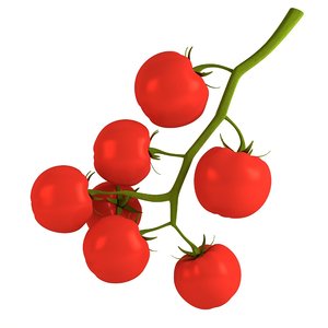 cherry tomato 3d model