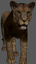 3d cats animation lion model