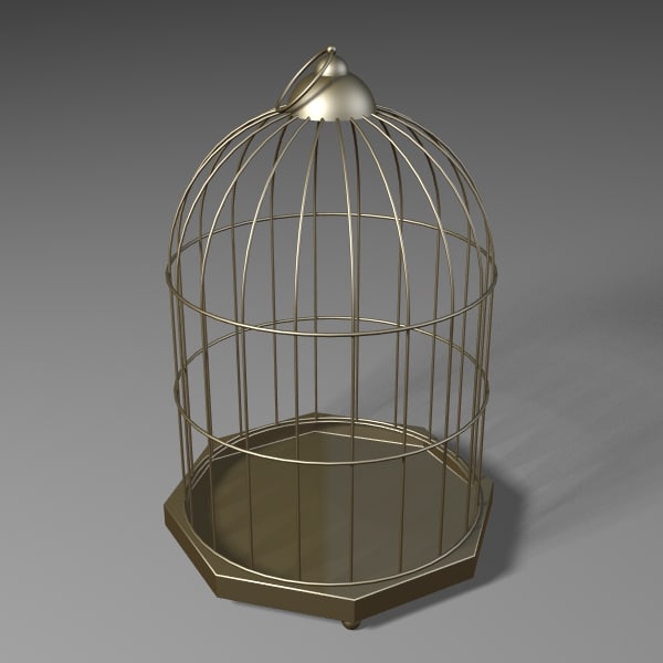 cage 3d model