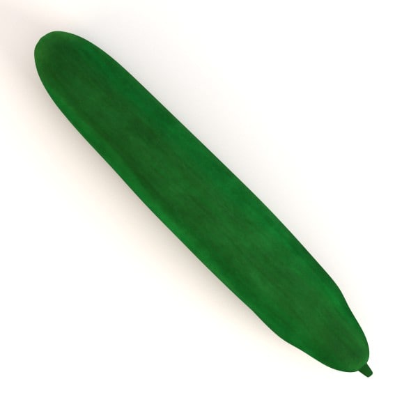 Cucumber 3d Model