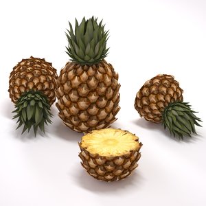 free max model pineapple
