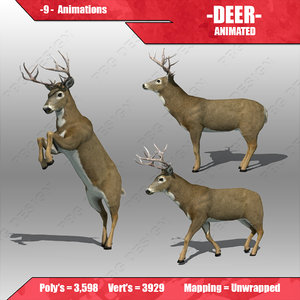 fbx deer animations
