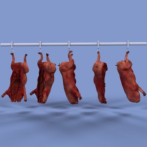 dead pigs 3d model