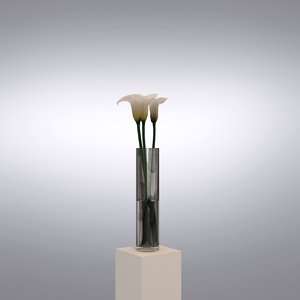 3d vase callas flowers model