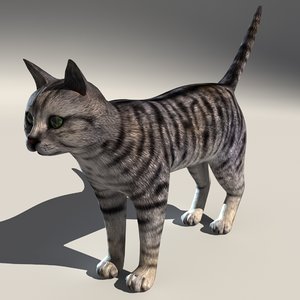 cat fur 3d model