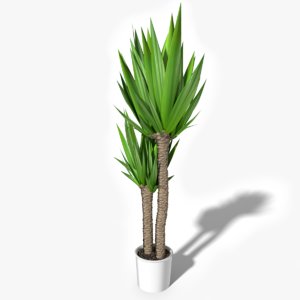 tropical house plant 3d max