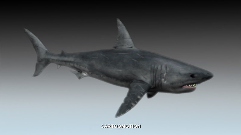 free max mode great white shark https://static.turbosquid.com/Preview/2014/07/09__17_44_04/Shark1.jpga18e494c-1dc3-45ed-8b7d-986ac9146cbaOriginal.jpg