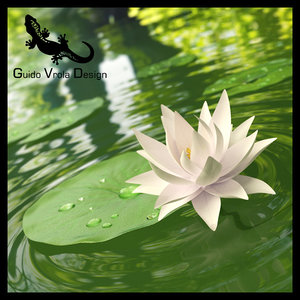 3d water lily