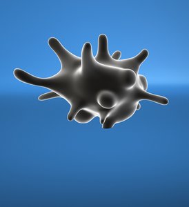 3d amoeba model