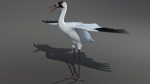 crane big feathers 3d max