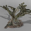australian fig tree scanned 3d model
