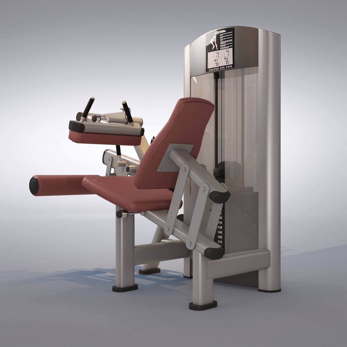 seated leg curl machine max