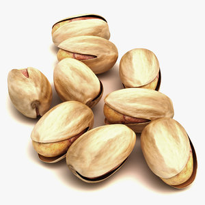 pistachio nut modeled 3d model