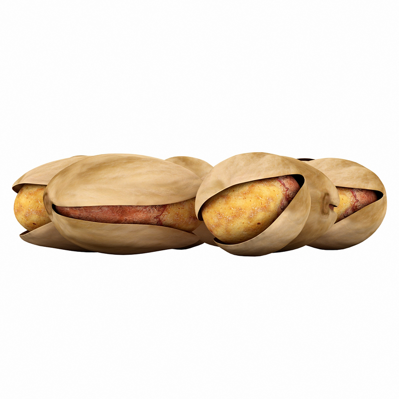 pistachio nut modeled 3d model