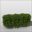 c4d shrub hedges