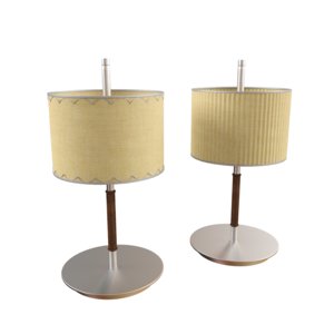 3d table lamp danona model