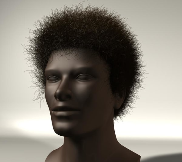 アフロヘアー乱雑c4d 11 53dモデル Turbosquid