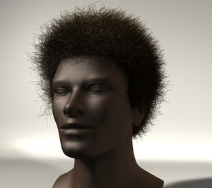 3d afro hair style 11 model